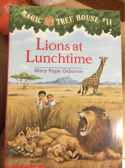 Lions at Lunchtime