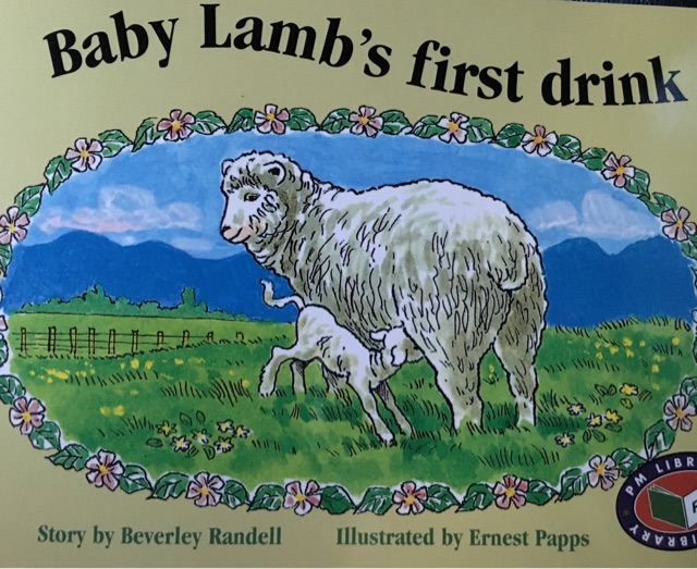 PM RED A Baby Lamb's first drink