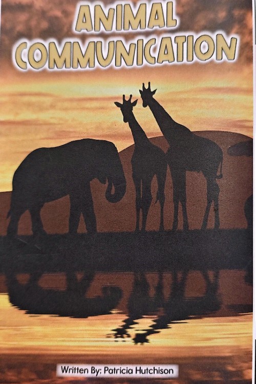 animal communiciation