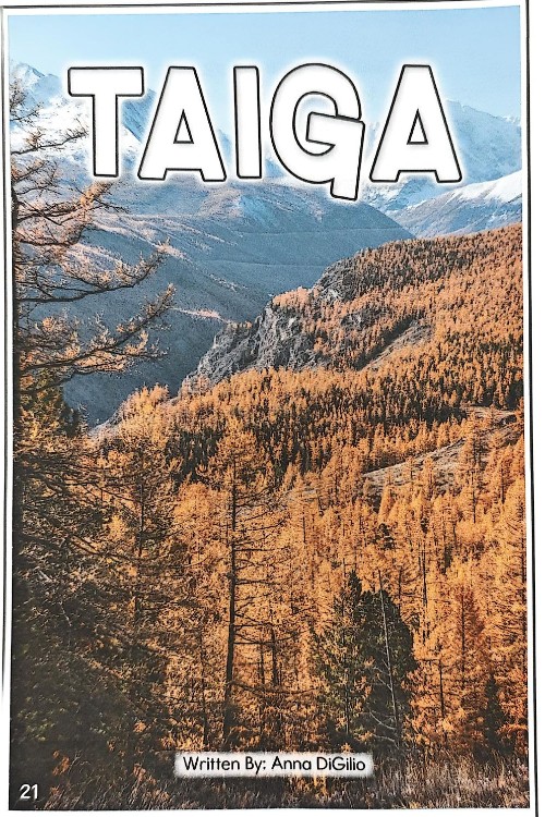 taiga