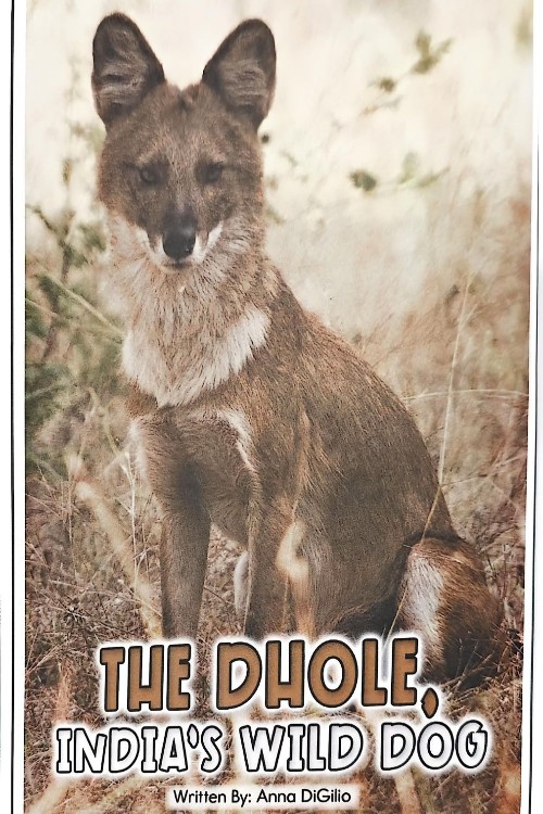 the dhole