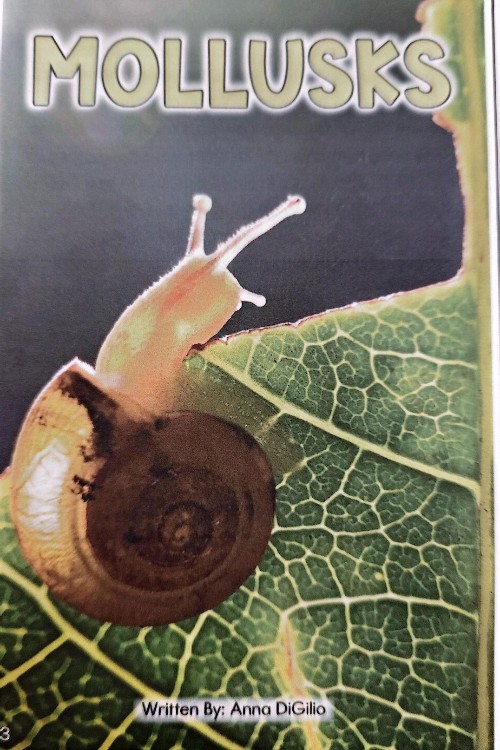 mollusks