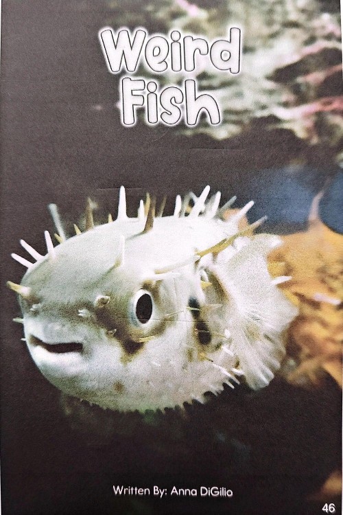 weird fish