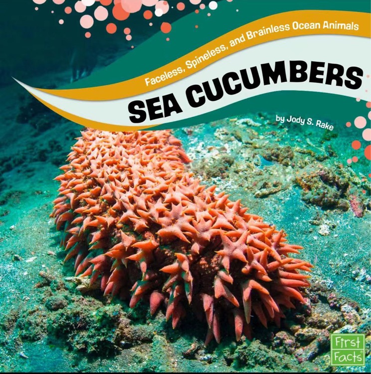 Sea Cucumbers