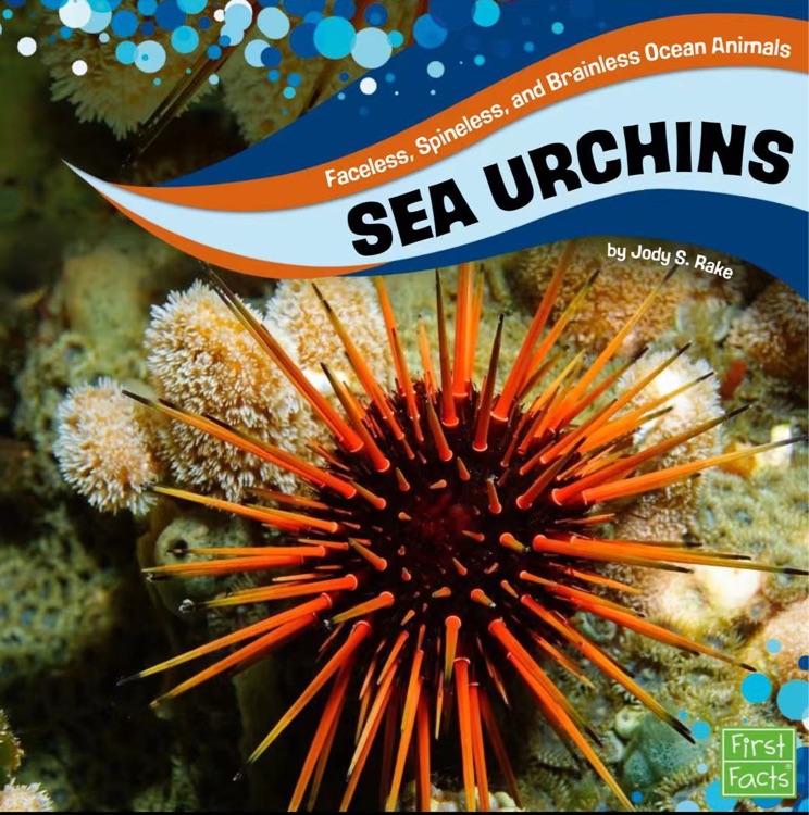 Sea Urchins