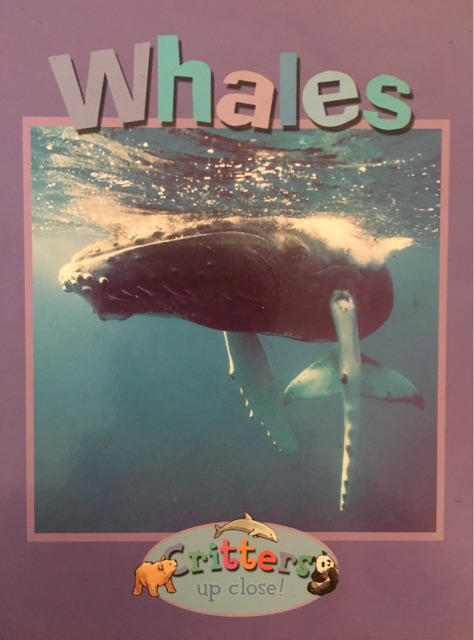 Whales