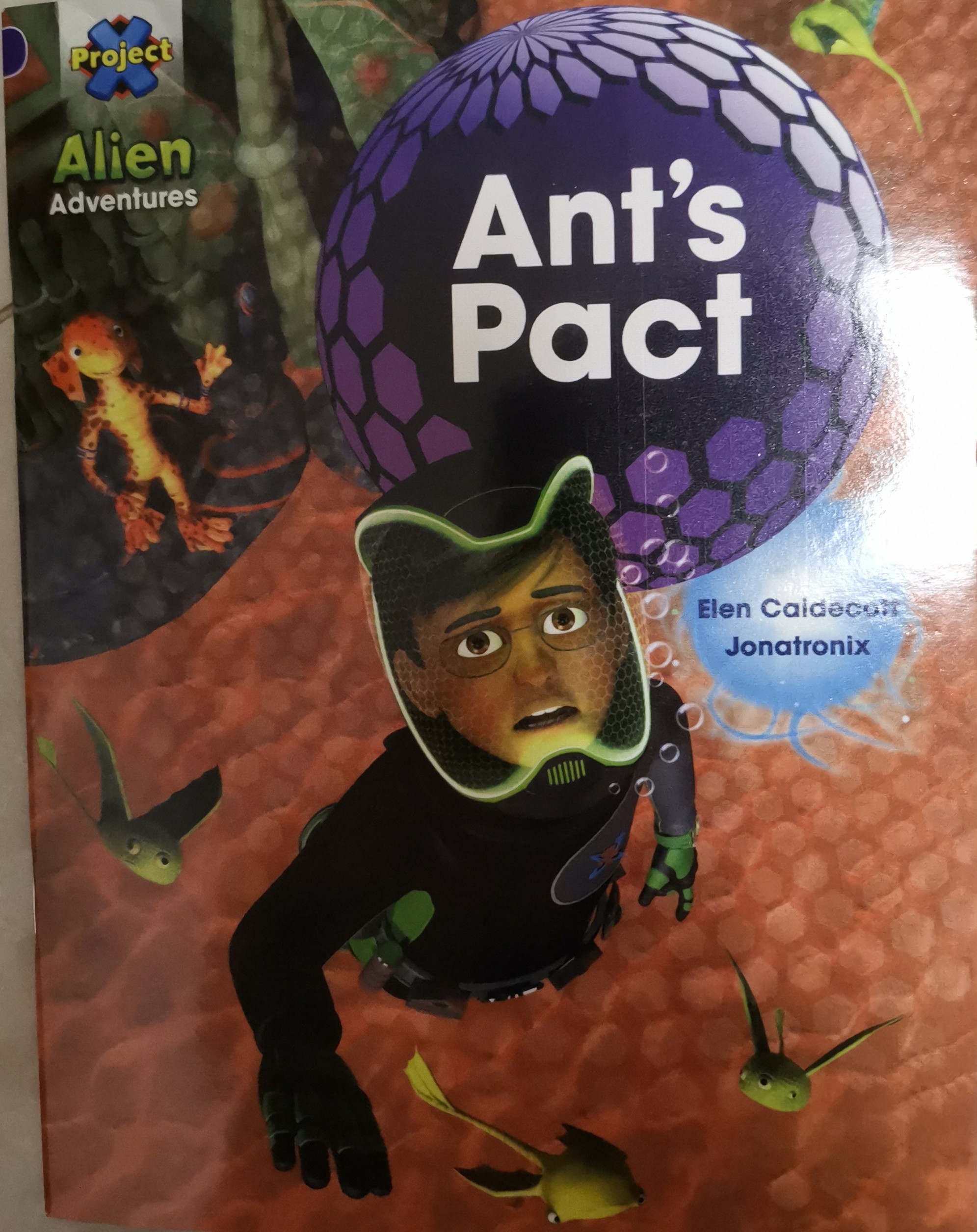 8-4 Ant's pact