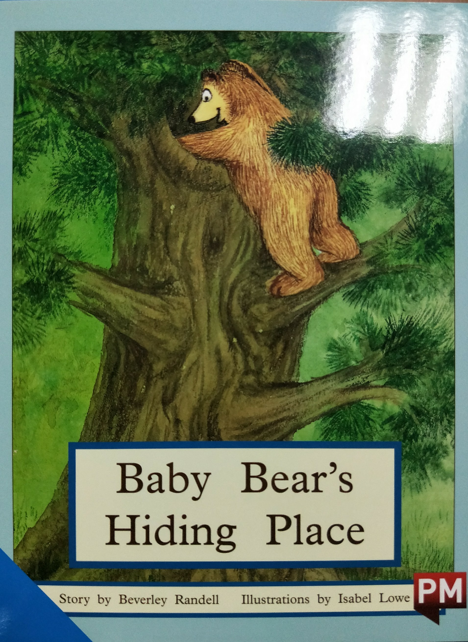 Baby bear's hiding place