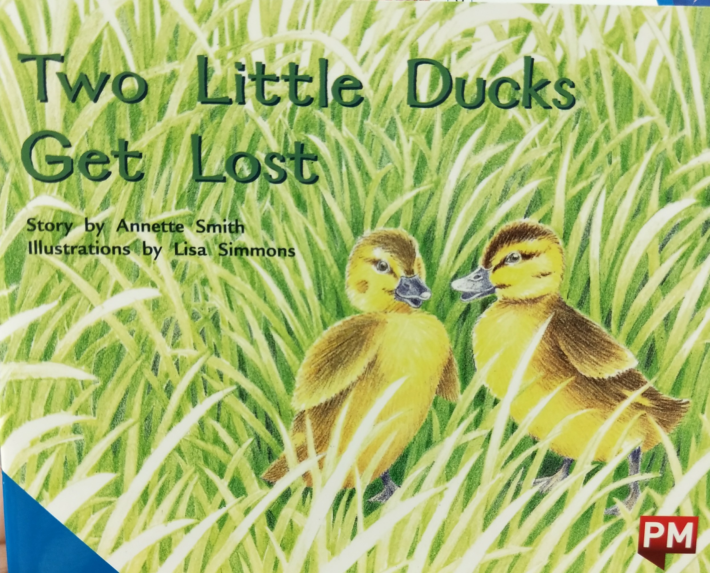 two little ducks get lost