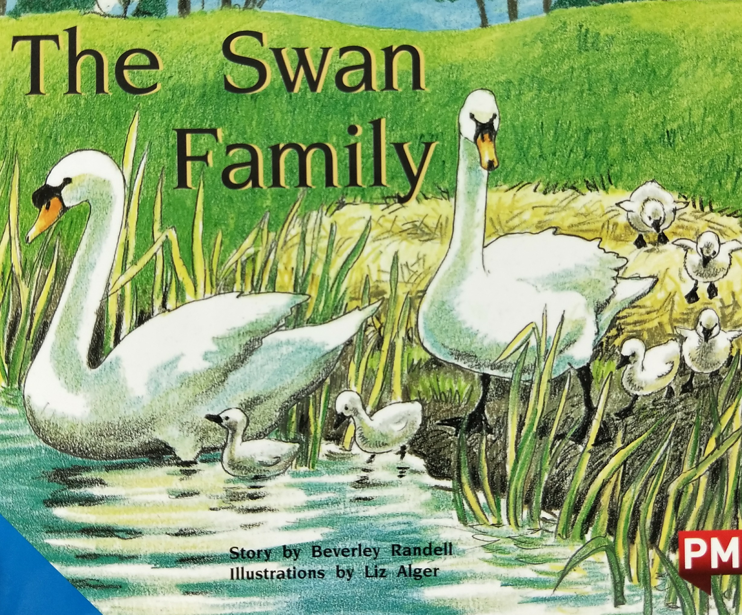 the swan family