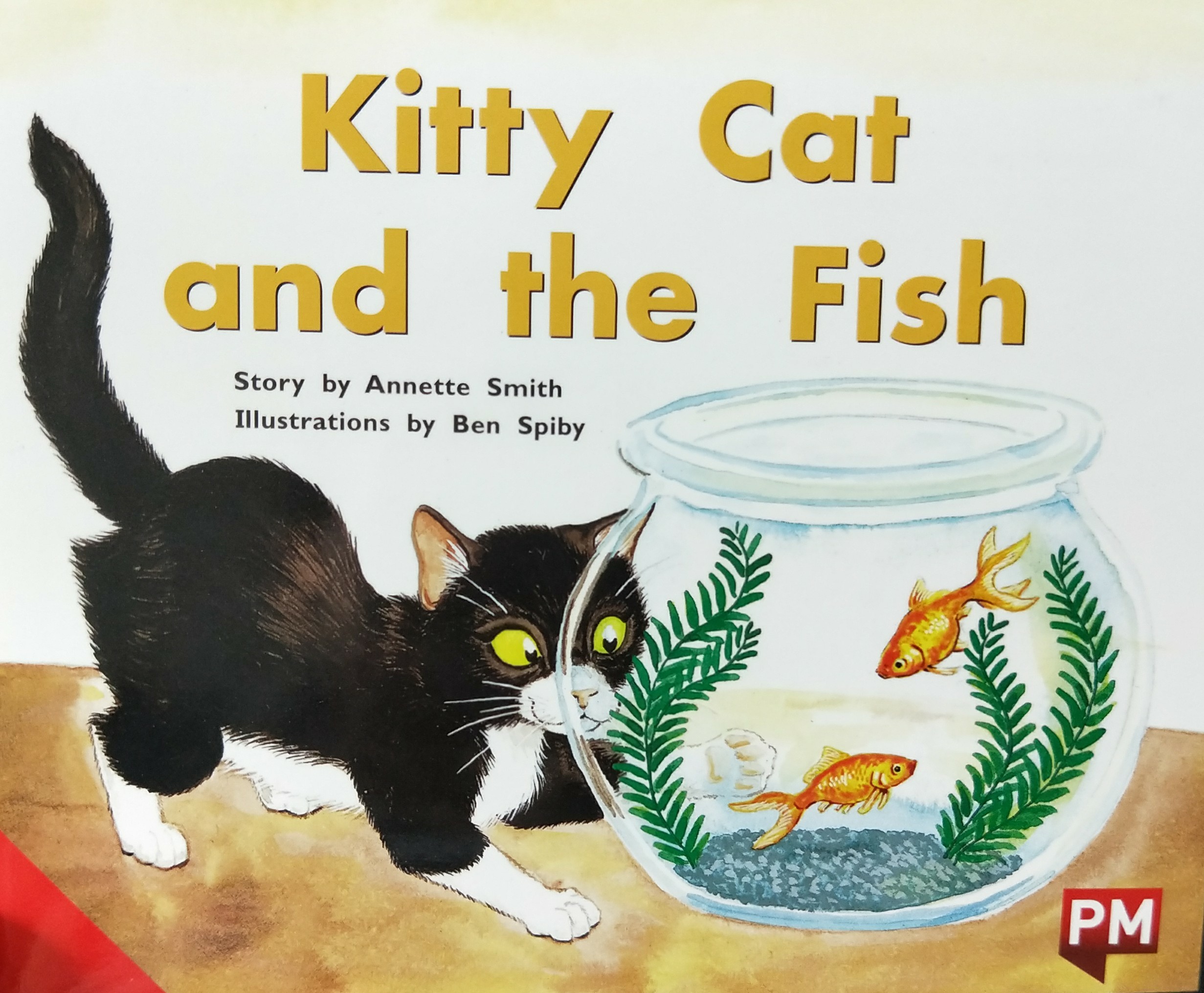 Kitty cat and the fish