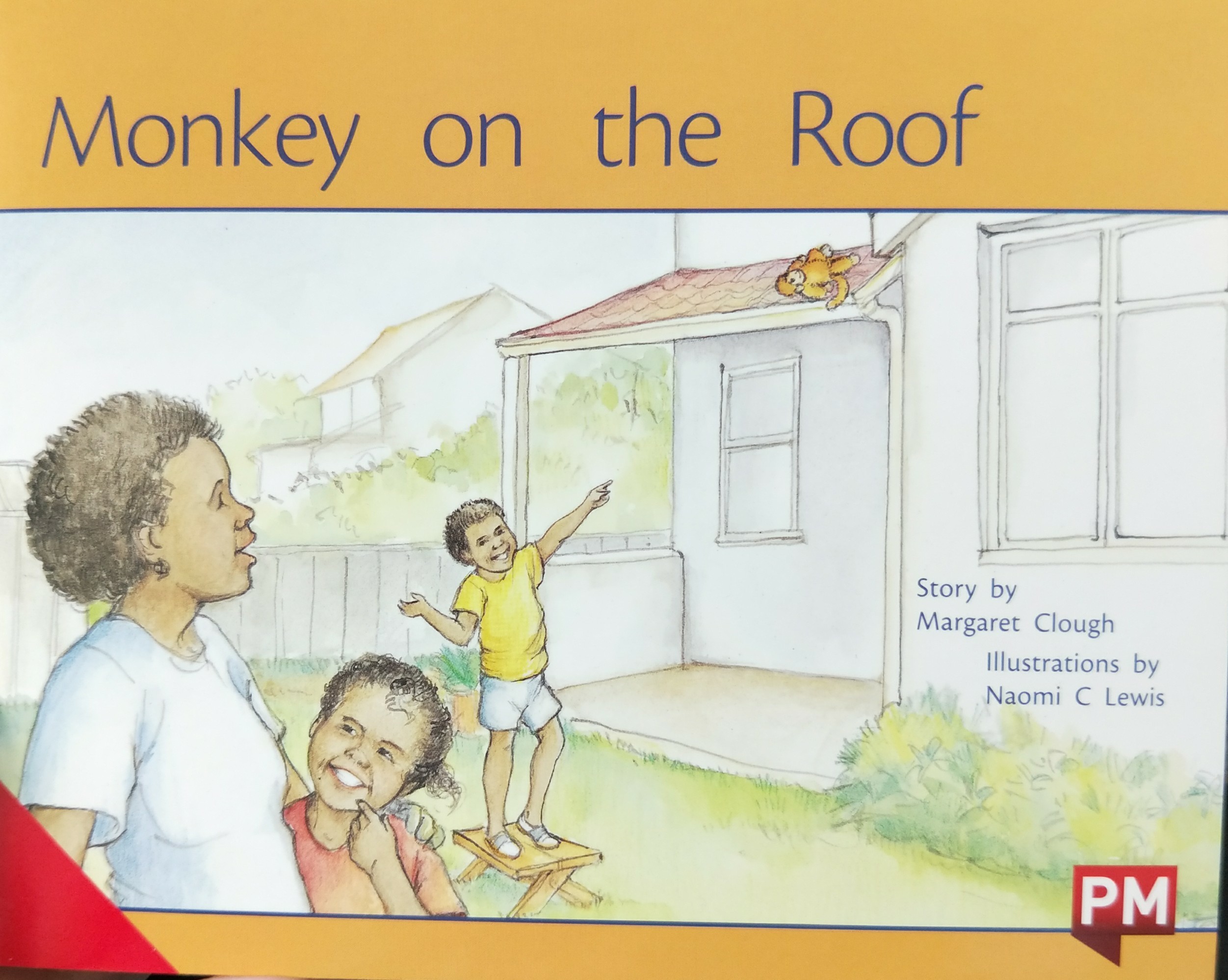 monkey on the roof