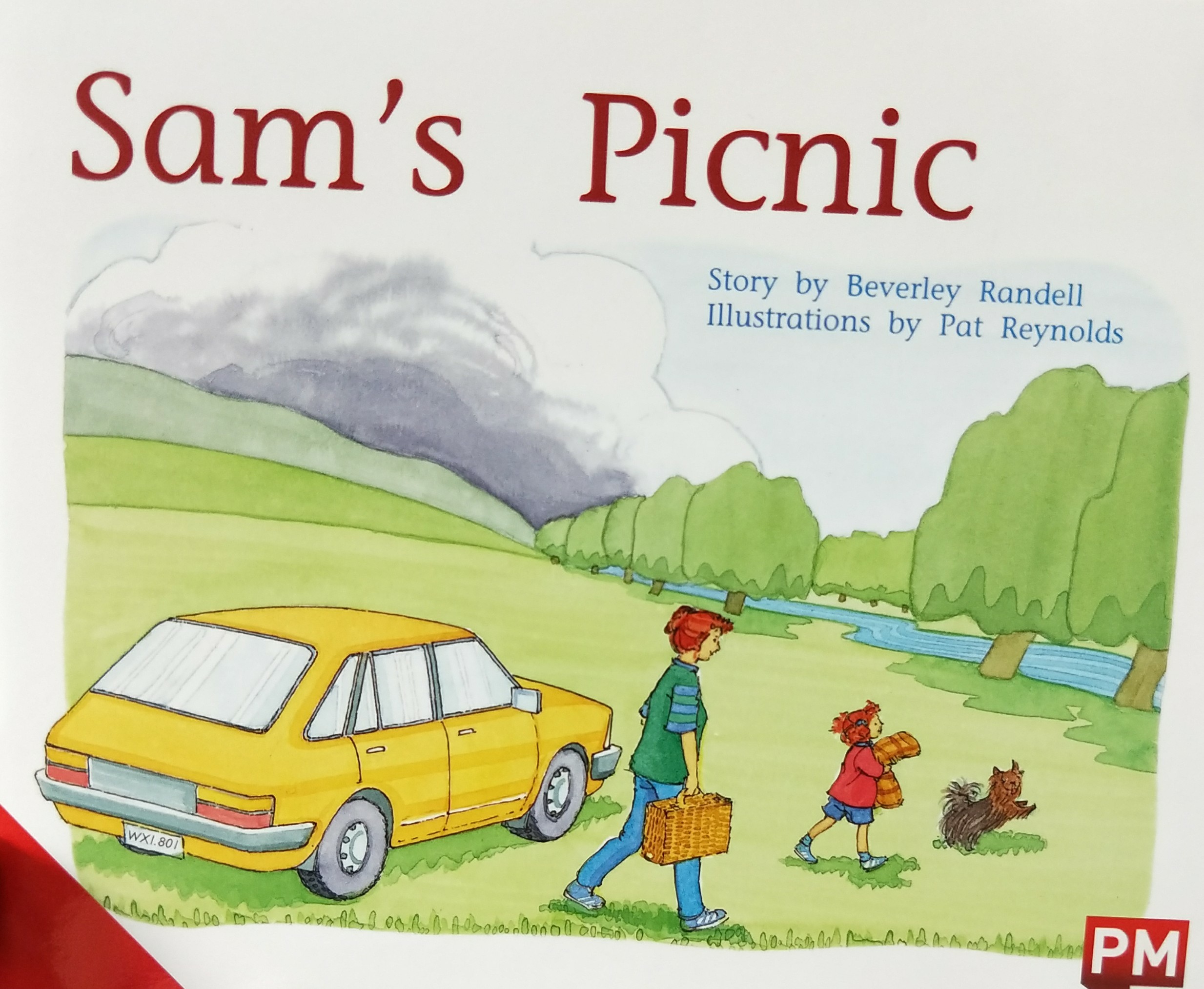 Sam's picnic