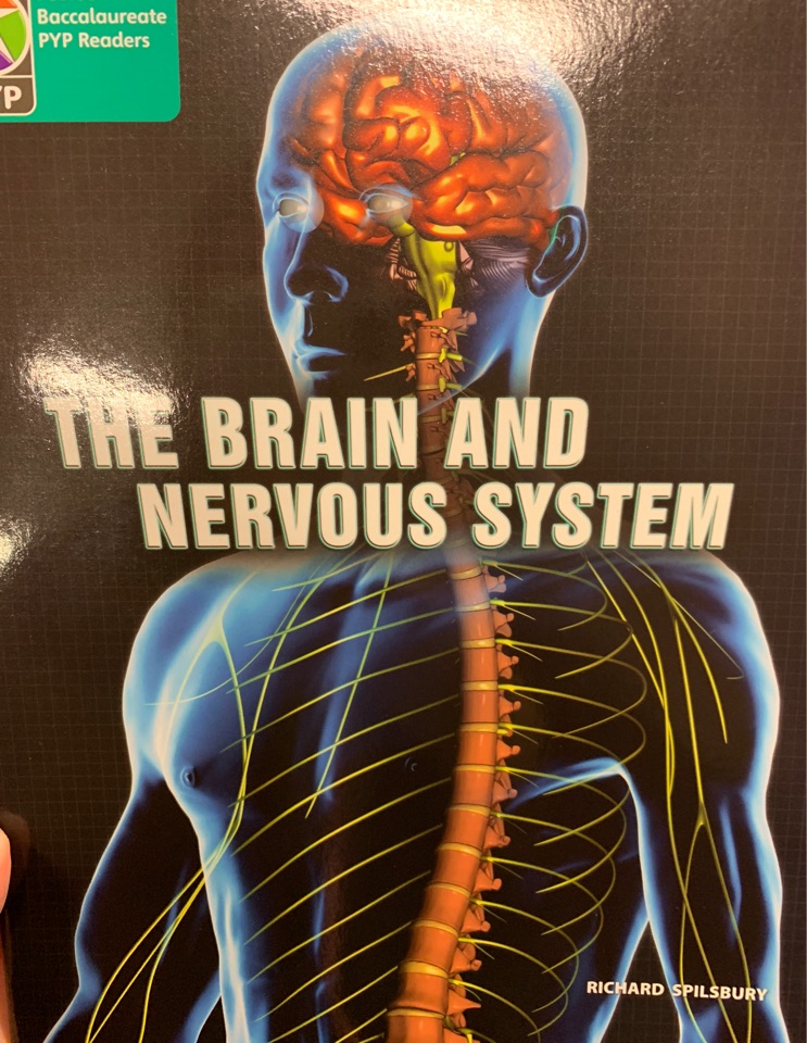 The brain and nervous system