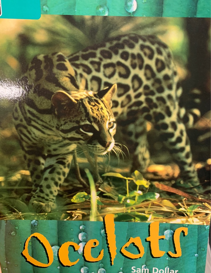 Ocelots