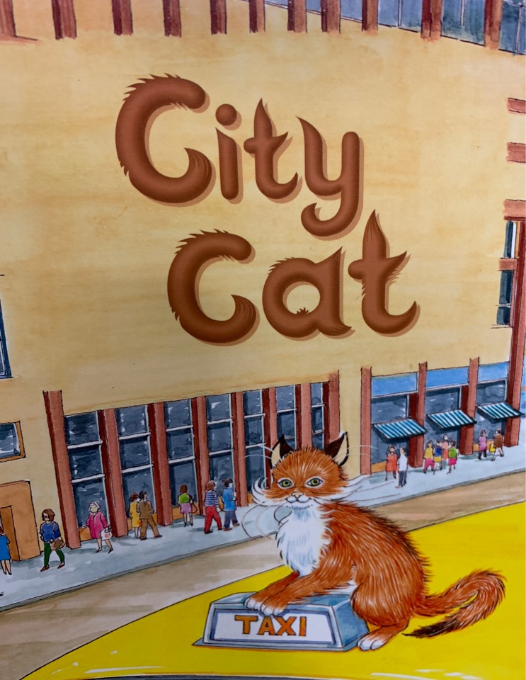 City Cat