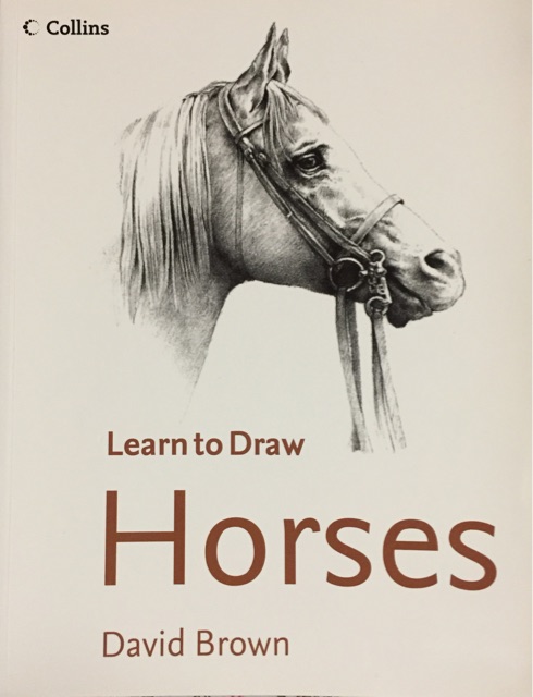 Learn to Draw Horse