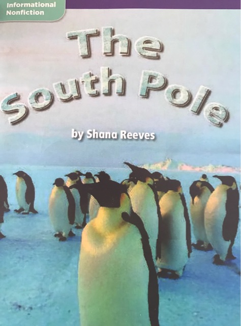 The South Pole