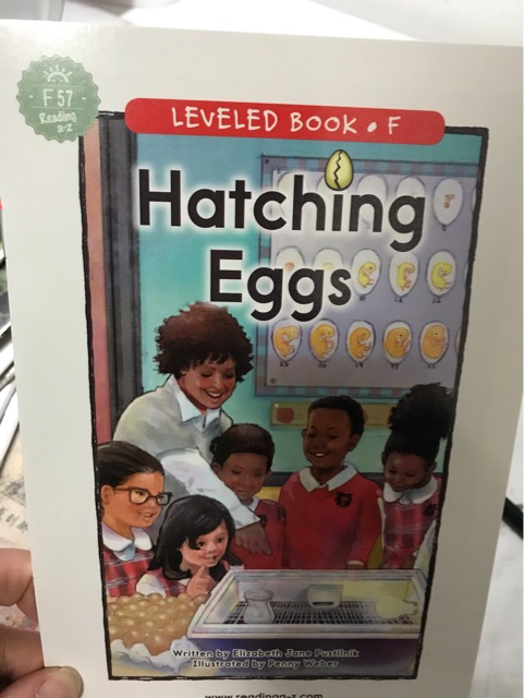 F57-Hatching Eggs