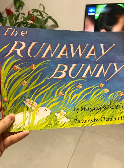 The.Runaway. Bunny