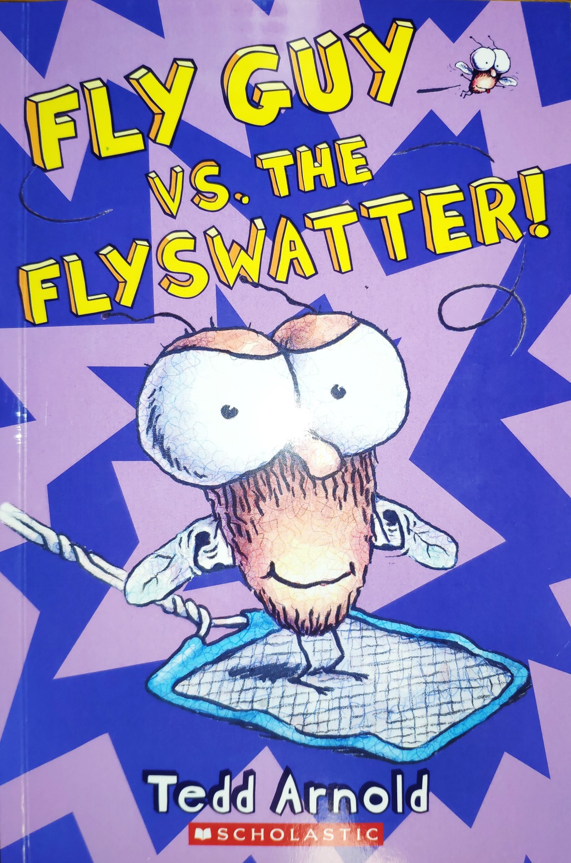 FLY GUY VS. FLYSWATTER