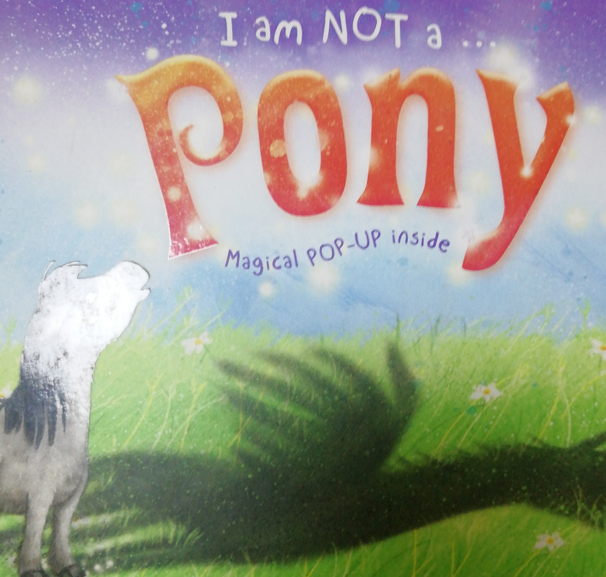 I am not pony