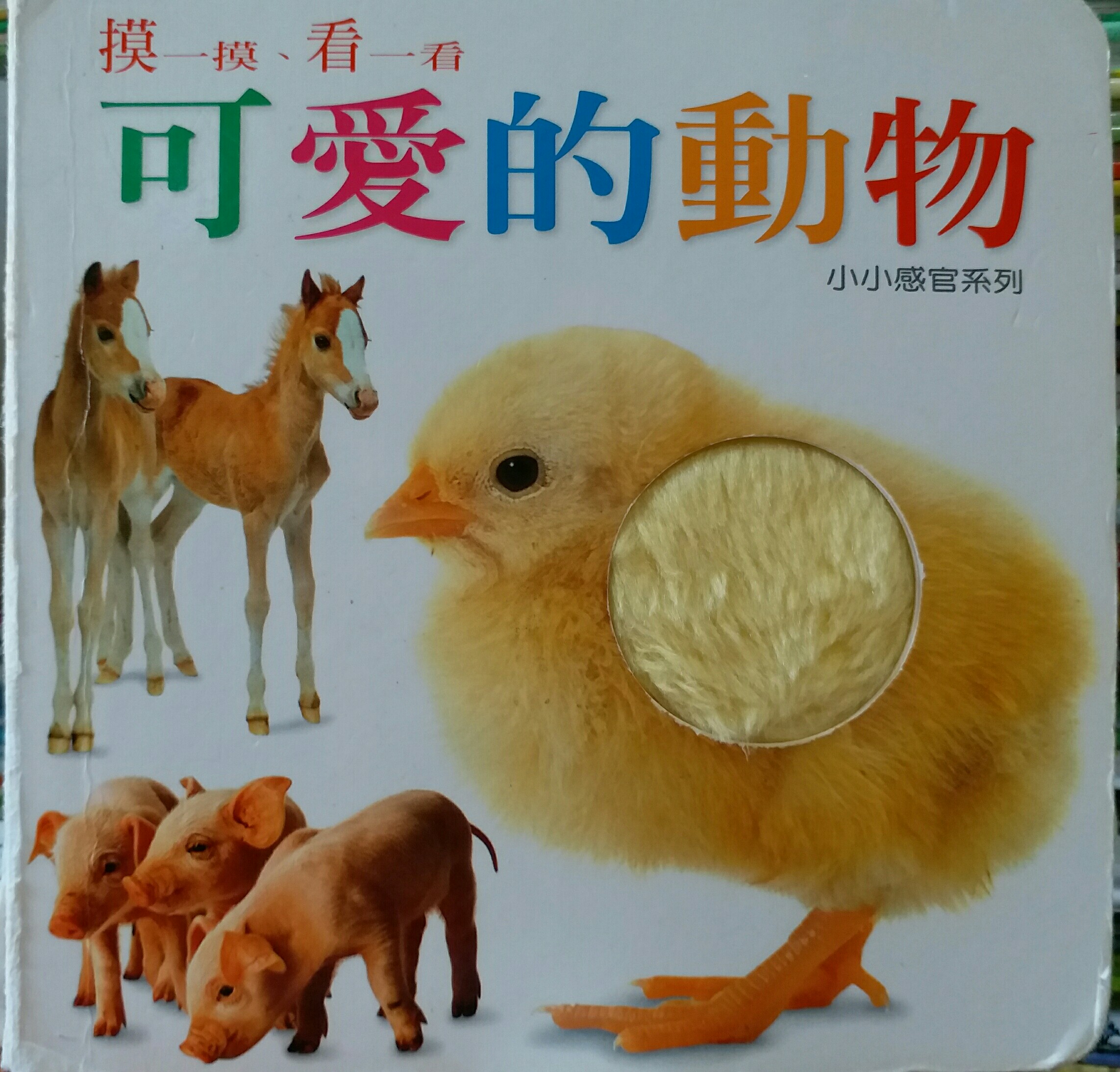 可愛的動物