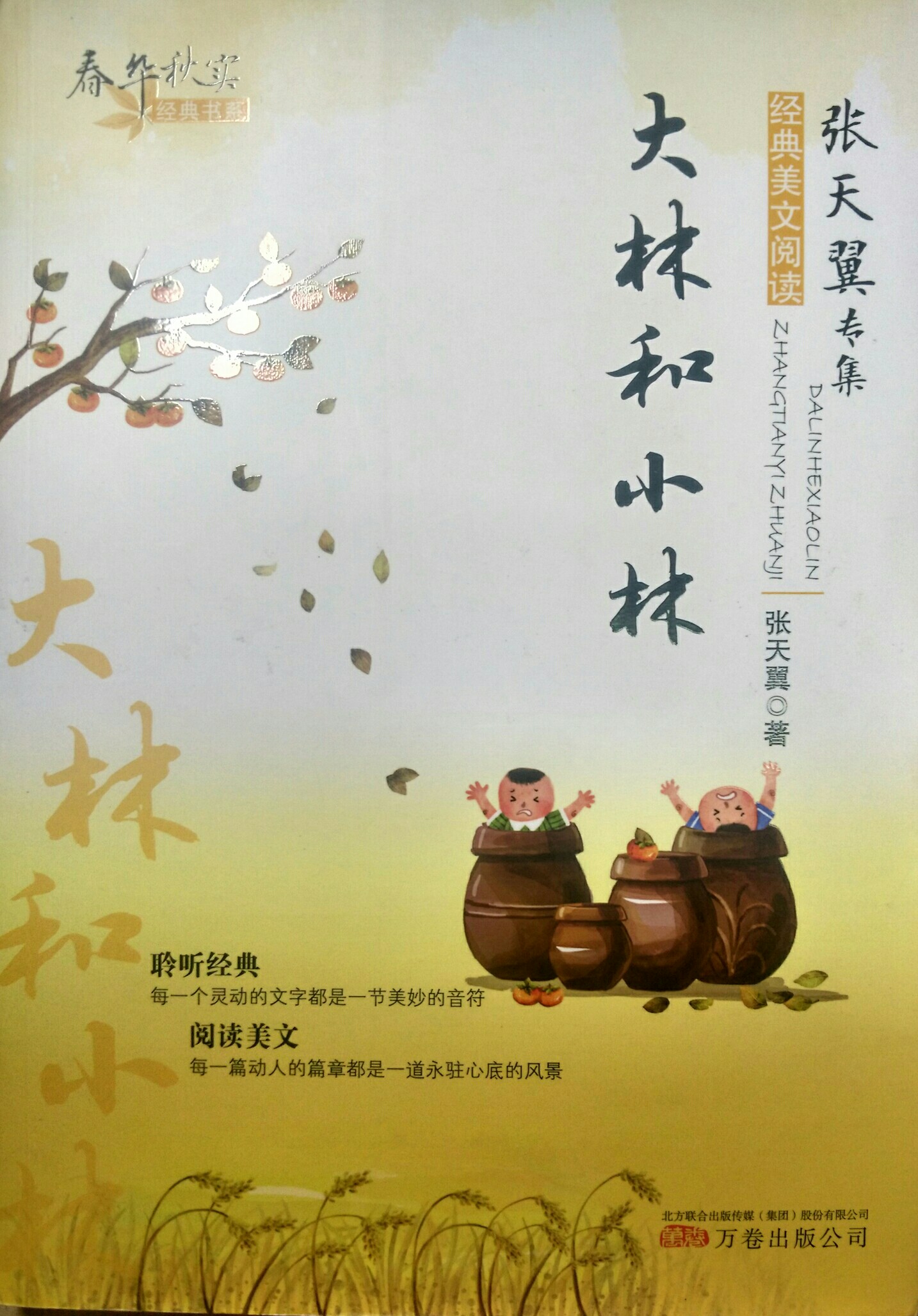 春華秋實經(jīng)典書系——《大林和小林》