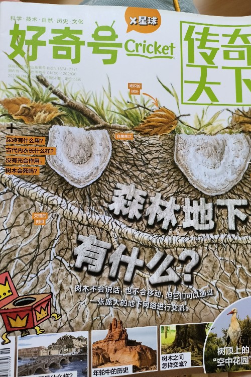 好奇號202307