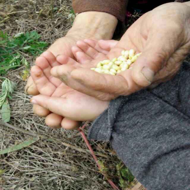 窩里橫的丁