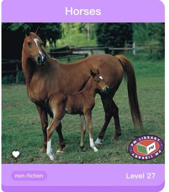 Horses PM Non Fiction Animal Facts Level 20&21 Farm Animals Purple