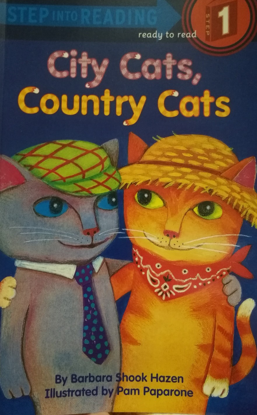 蘭登1  city cats  country cats