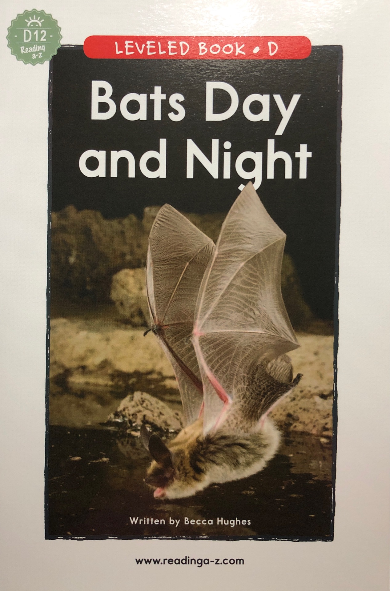 RAZ-D 12 Bats Day and Night