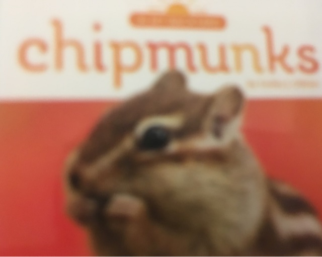 chipmunks