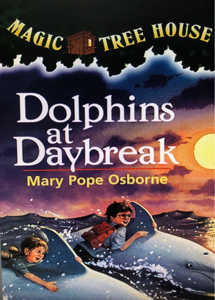 Magic  Tree house 9