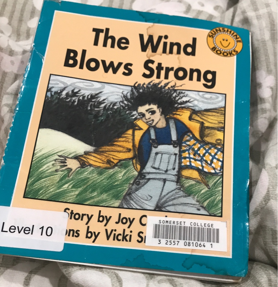 the wind blows strong