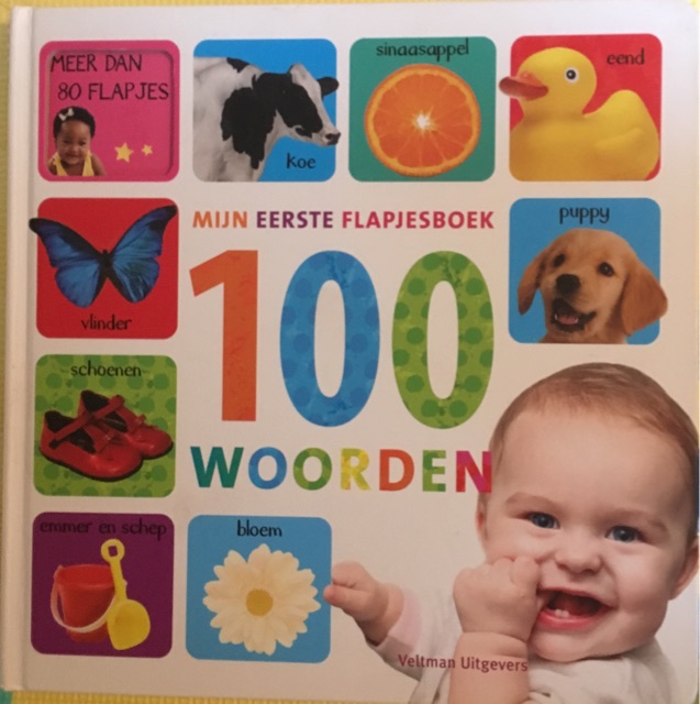 Mijn eerste flapjesboek