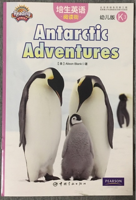 Antarctic Adventures