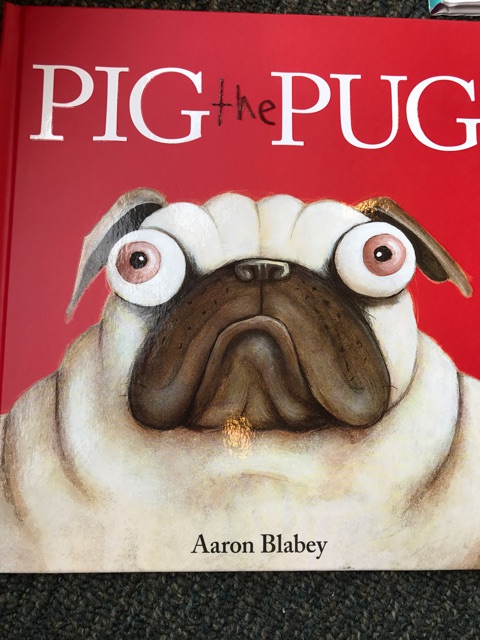 Pig      The   Pug