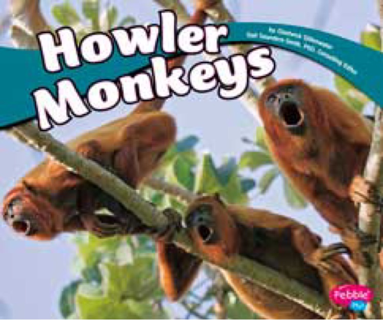 Howler Monkeys