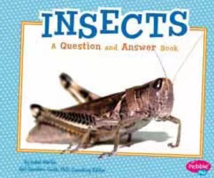 Insects: A Question and Answer Book