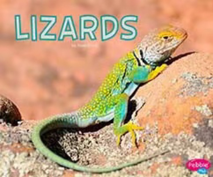 LIZARDS