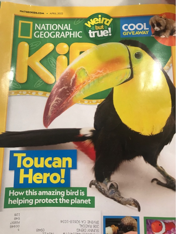 National geographic kids