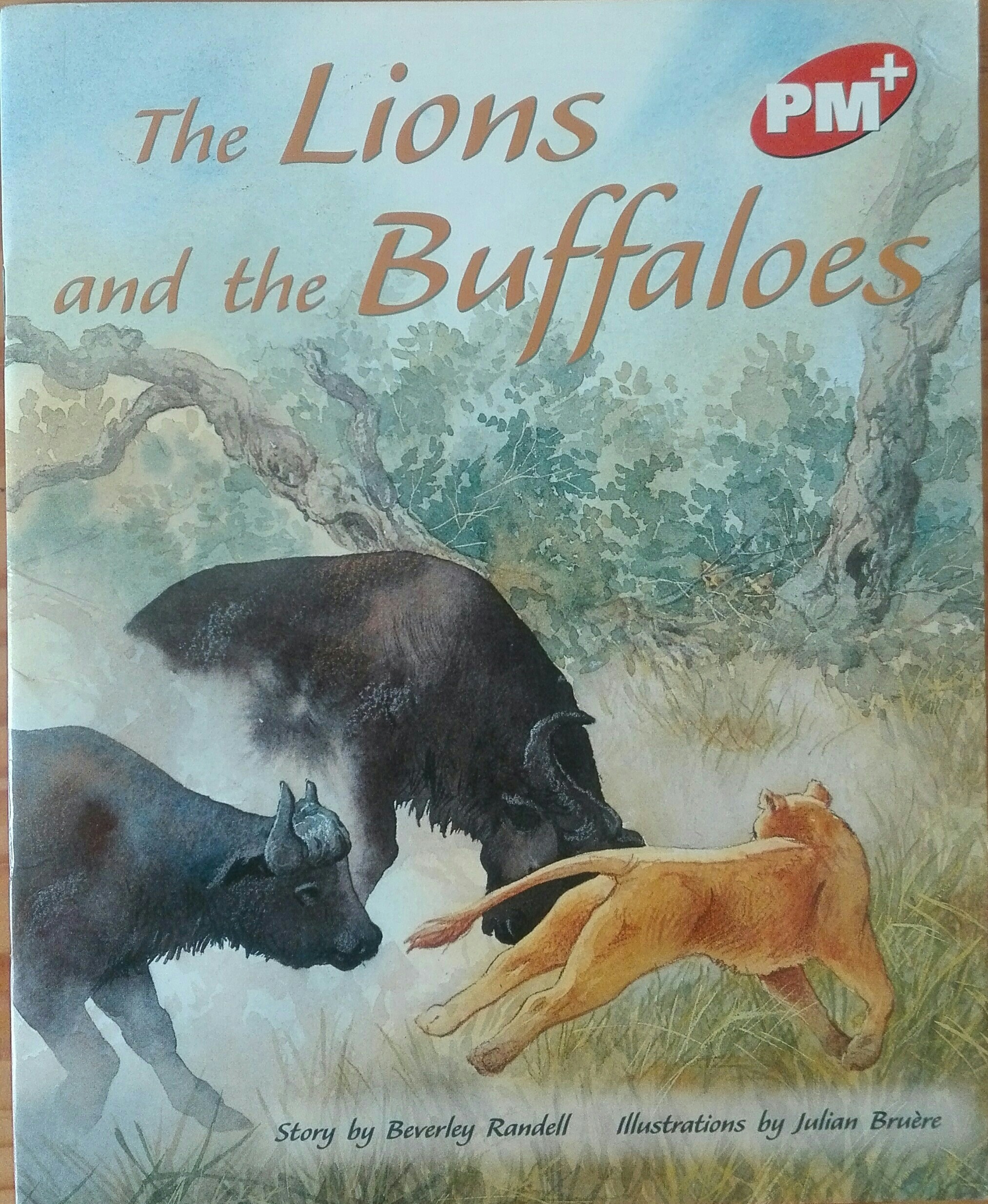 The Lions and the Buffaloes PM Plus Orange 16