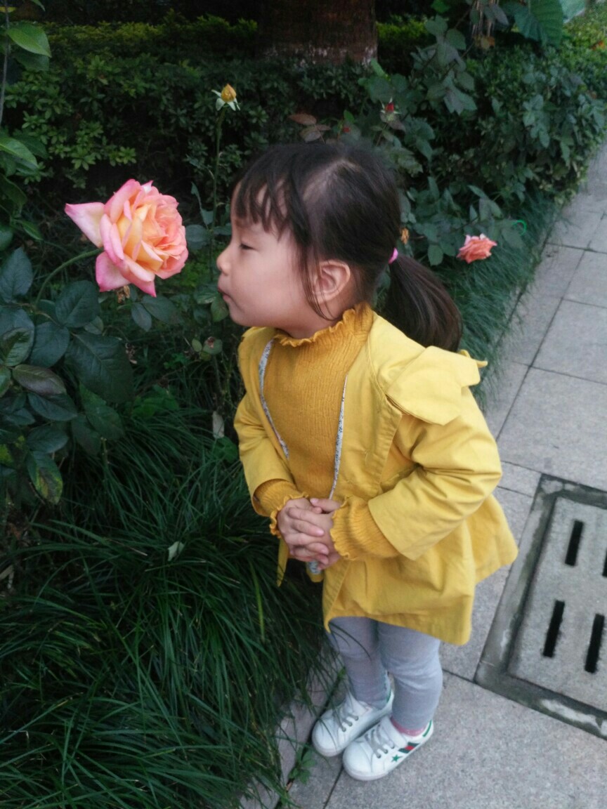 求知是最好的保養(yǎng)