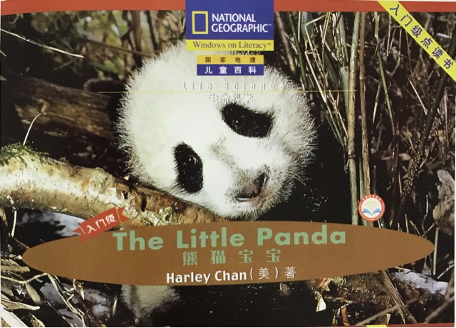 The little panda