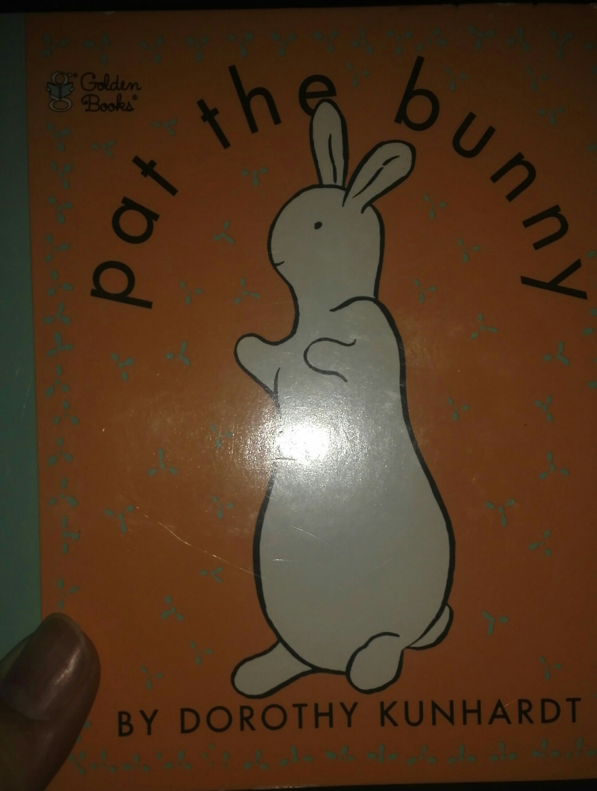 pat the bunny