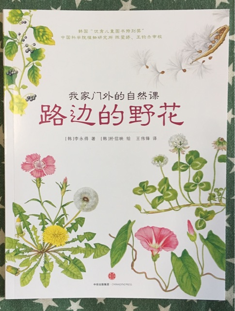 我家門(mén)外的大自然-路邊的野花