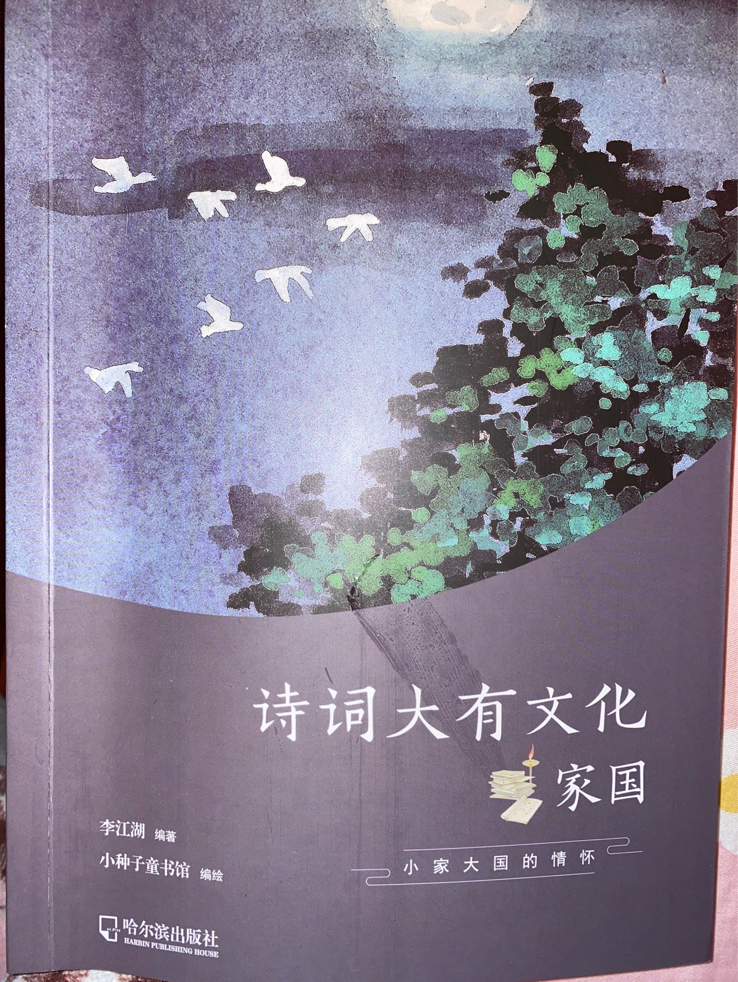 詩詞大有文化全套6冊