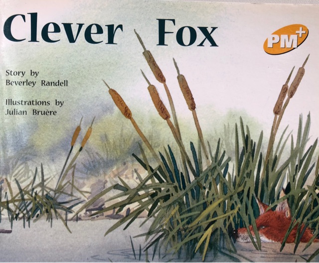 Clever Fox PM Plus Level 6 Yellow